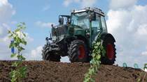 Fendt 211 F Schmalspurtraktor steht auf einem aufgeschütteten  Weinberg  beim FENDT-Feldtag in Wadenbrunn, 27.08.2014