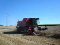 Mhdrescher Case International,
im Einsatz in Oberschwaben Aug.2008