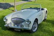 . Austin Healey 100 Z ausgestellt bei den Classic Days in Mondorf.  30.08.2014