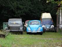 VW Käfer am 11.10.14 in Neckargemünd