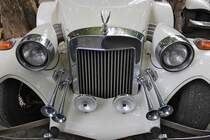 Frontdetails, im Gegensatz zu allen anderen Fahrzeugen ist hier kein Schwert, sondern ein Adler auf dem Kühler.

Excalibur-Treffen auf dem Buttermarkt in Kempen, 23.8.14 