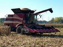 Case 6130, f�hrt mit vollem Bunker K�rnermais zum Entladen, Okt.2014