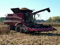 Case 6130, fhrt mit vollem Bunker Krnermais zum Entladen, Okt.2014