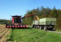 Case 6130, beim Entladen von K�rnermais in das Transportfahrzeug, Okt.2014