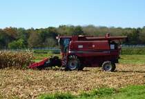Case 2166 bei der Maisernte in der Rheinebene, Okt.2014