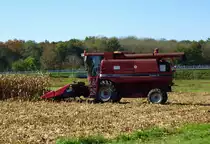 Case 2166 bei der Maisernte in der Rheinebene, Okt.2014