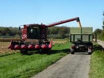 Case 2166, beim Entladen von K�rnermais, Okt.2014