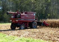 Case 2166, Mhdrescher bei der Maisernte, Okt.2014