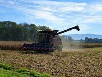 Case 6130, Mhdrescher bei der Arbeit, Okt.2014