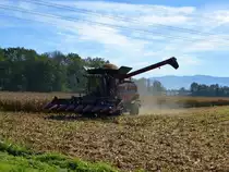 Case 6130, M�hdrescher bei der Arbeit, Okt.2014