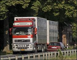 VOLVO FH12 460PS (?) von VARKENSHANDEL WIM BROUWER B.V.