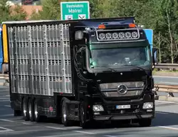 Da kam doch gleich doppelte Freude auf: Zum einen einen LKW aus meinem Heimat-Landkreis fernab davon erwischt und dann noch dazu einen selten anzutreffenden MB Actros 1861 