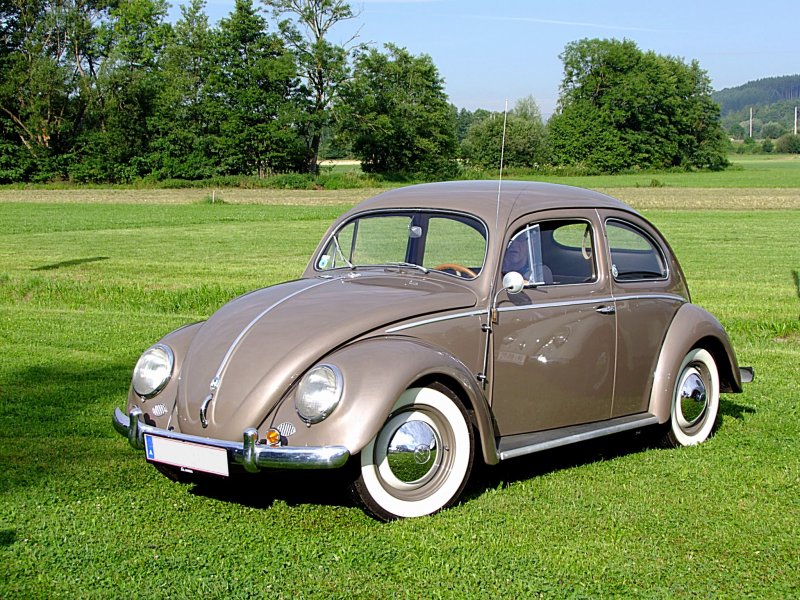 VW-Käfer, Baujahr 1955 ist auf Hochglanz poliert, sodaß sich ein 